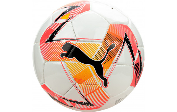 Мяч футзальный Puma Futsal 2 HS 08376401 р.4 600_380