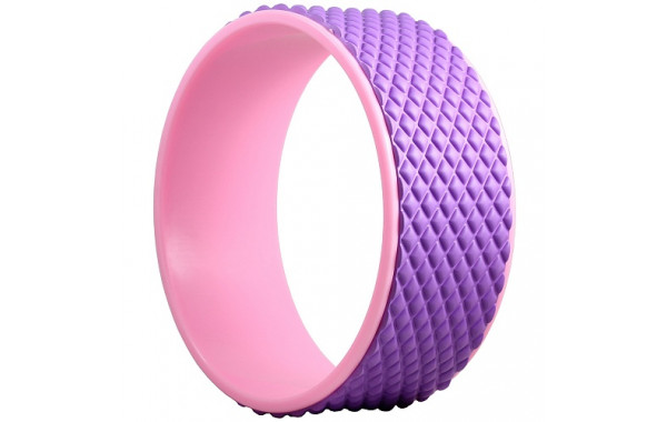 Цилиндр для йоги Start Up ЕСЕ 05 фиолетовый 600_380