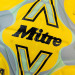 Мяч футбольный Mitre Delta One 24, FIFA PRO 5-B01787C60 р.5 75_75