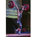 Штанга DHS Olympic 240 кг, для соревнований, аттестованная IWF 75_75