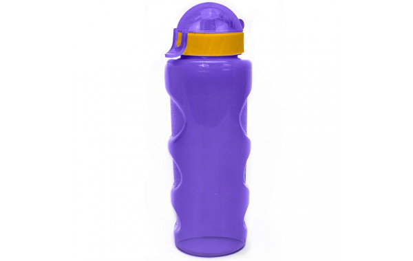 Бутылка для воды LIFESTYLE со шнурком, 500 ml., anatomic, прозрачно/фиолетовый КК0157 600_380