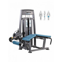 Сгибания ног лежа BenCarFitness TS-P042