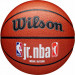 Мяч баскетбольный Wilson JR.NBA Fam Logo Indoor Outdoor WZ2009801XB6 р.6 75_75