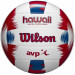 Набор мяч и фрисби Wilson Hawaii AVP WTH80219KIT 75_75