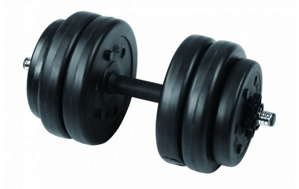 Гантель сборная Lite Weights 13 кг х 1шт 3113CD 600_380