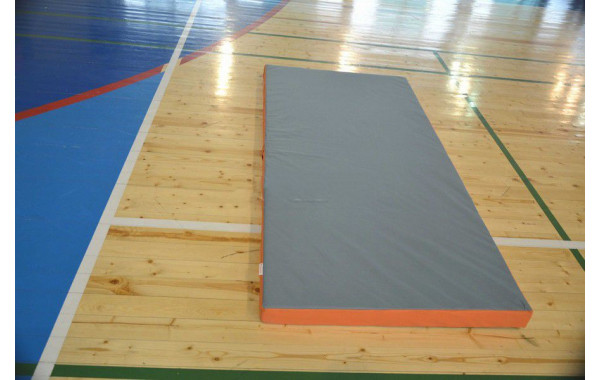 Мат гимнастический 2х1х0,1м стандарт (тканевый чехол) 600_380