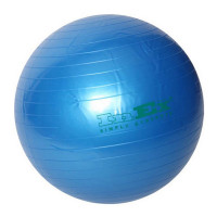 Мяч гимнастический Inex Swiss Ball BU-30 D=75 см синий