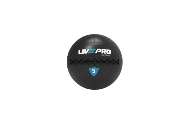 Медбол 8кг Live Pro Wall Ball PRO LP8103-08 600_380