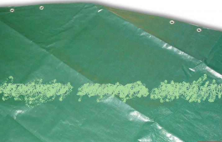 Тент защитный круг Azuro для 5,5 м, зеленый/черный (двуслойный) 3EXX0354[3BVZ0127] 714_456