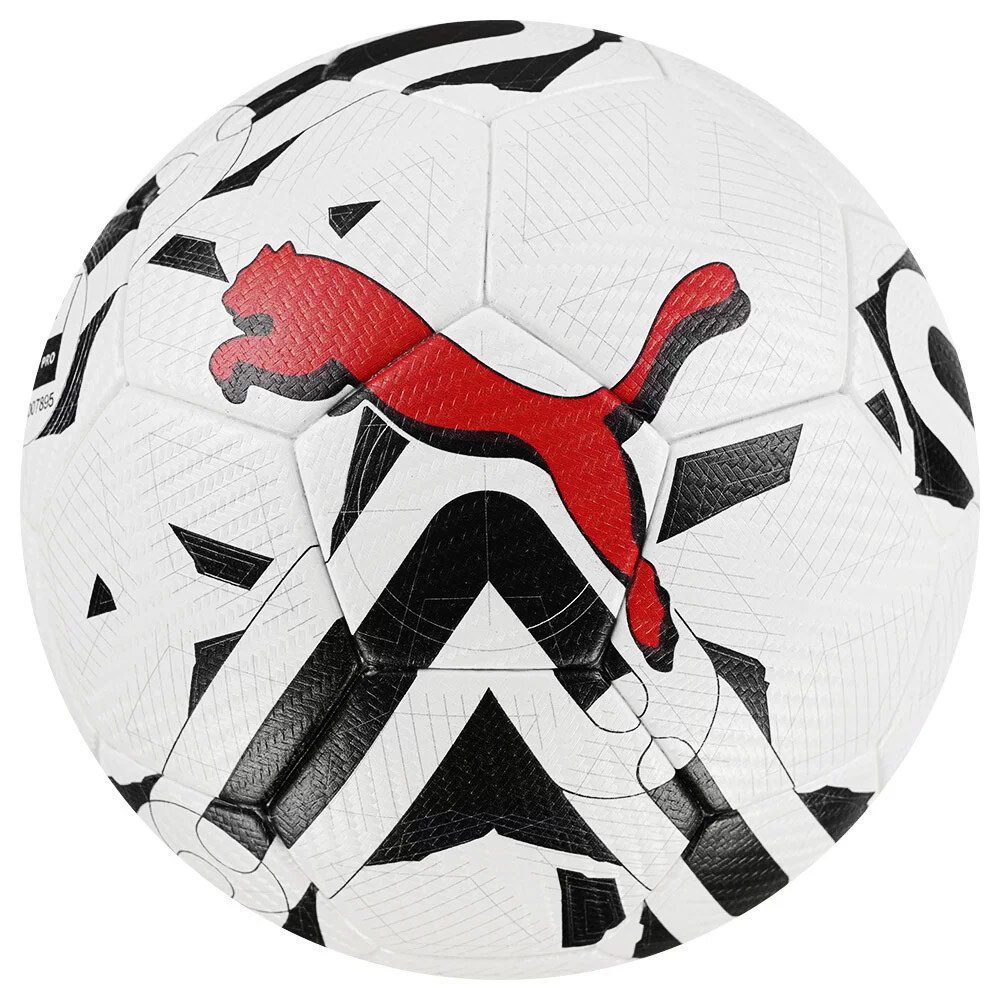 Мяч футбольный Puma Orbita 2 TB 08377503 FIFA Quality Pro, р.5 1000_1000
